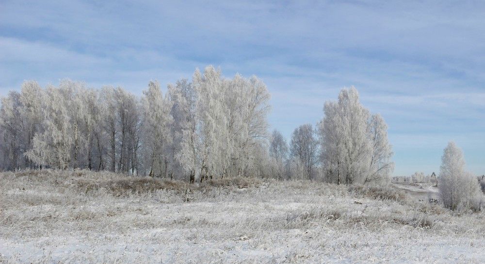 Photograph by Елена Федорова