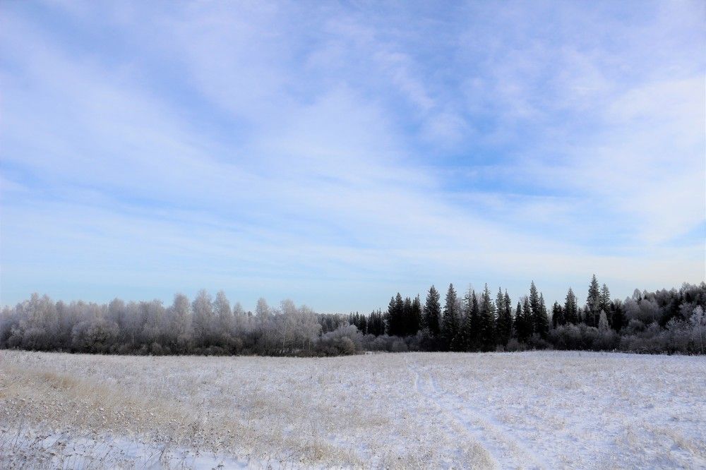 Photograph by Елена Федорова