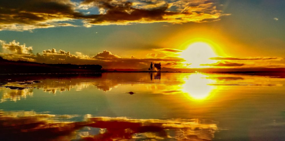 Photograph by Sharel Albor