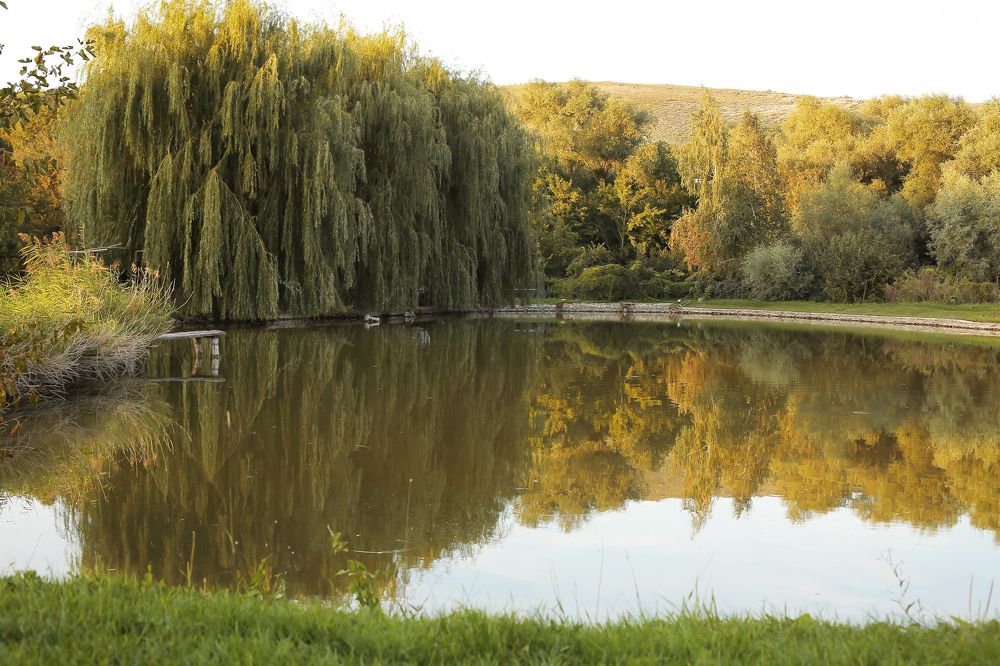 Photograph by Тамара Киреева