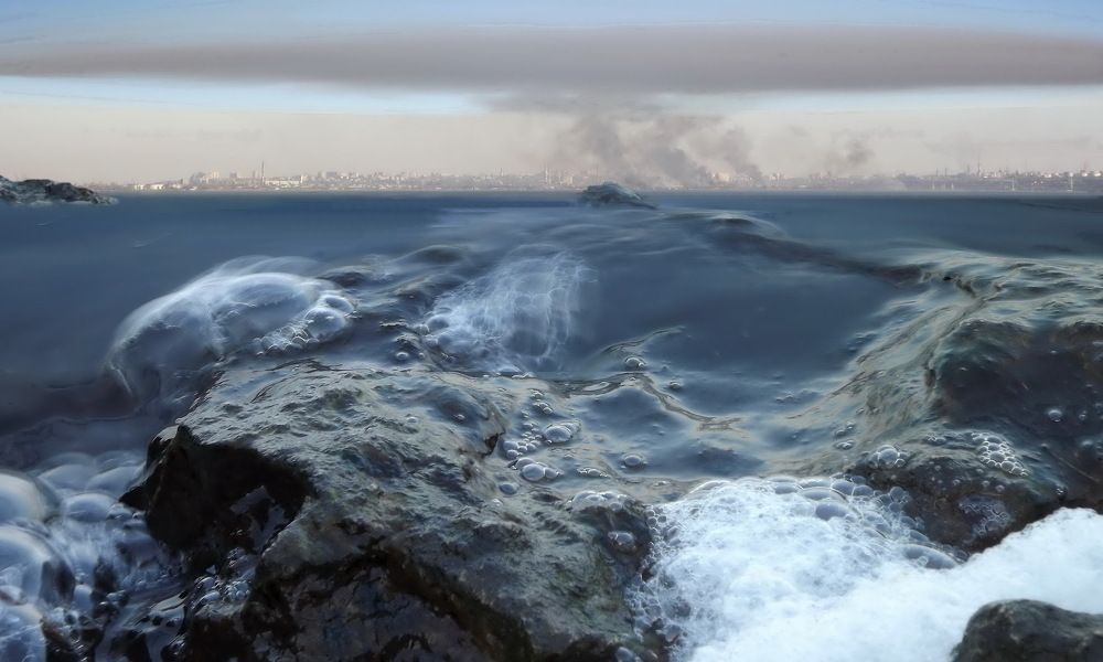 Photograph by Сергей Кошелев