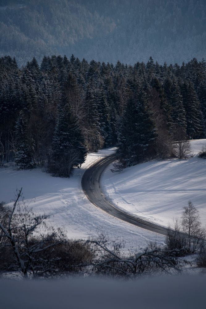 Photograph by Ala Botnarescu