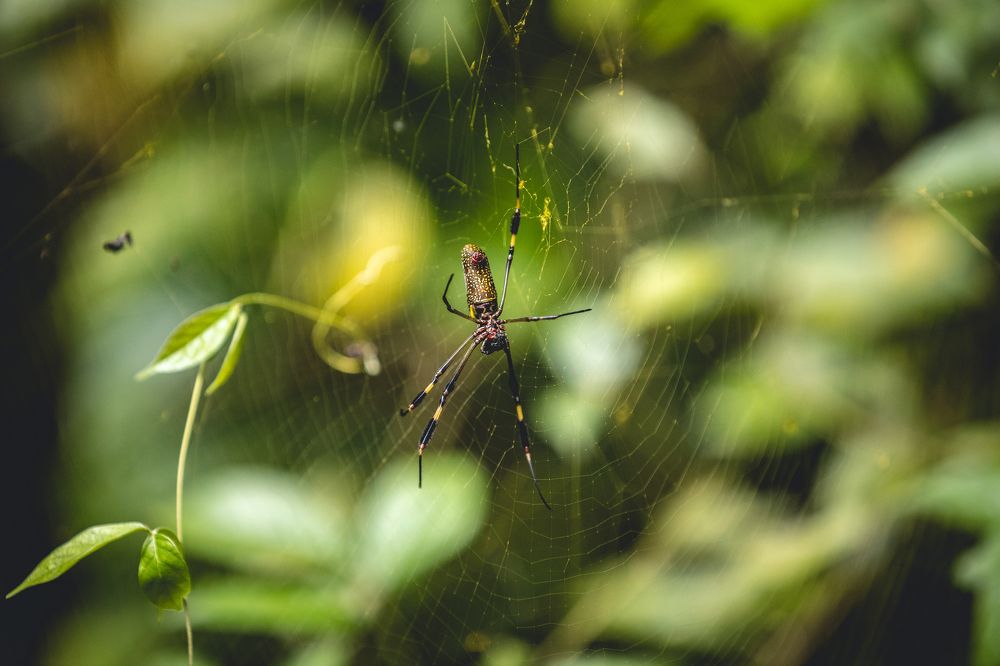 Photograph by Timur Korotkov