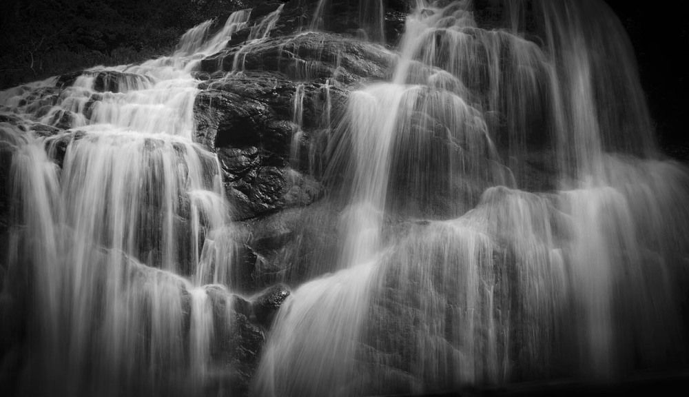 Фотография автора Татьяна Добровольская