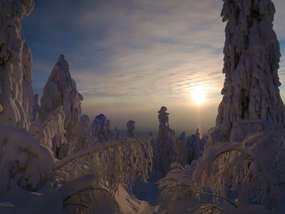 Photograph by Максим