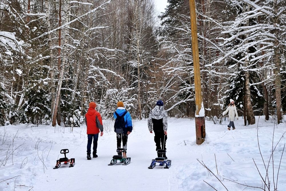 Как три мушкетера