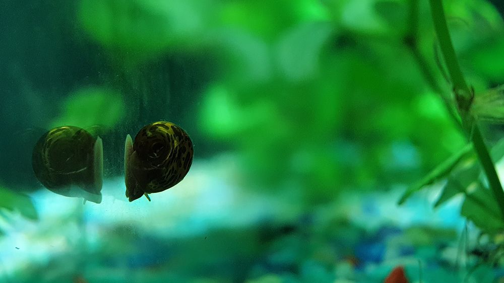 Фотография автора Александра