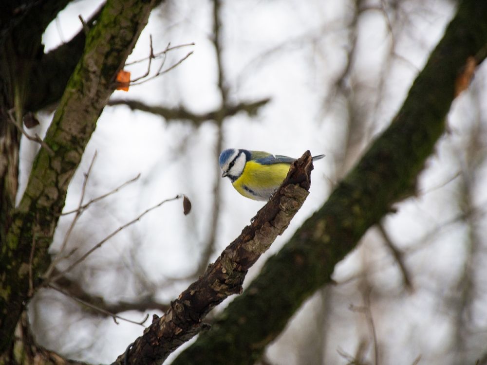 Photograph by Тихон Петров