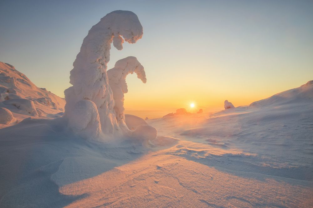 Photograph by Денис Лукьяненко