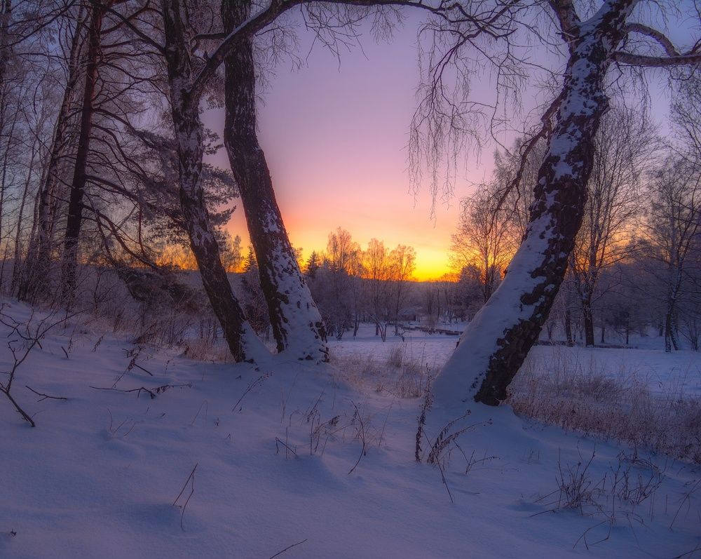 Фотография автора Андрей Врубель