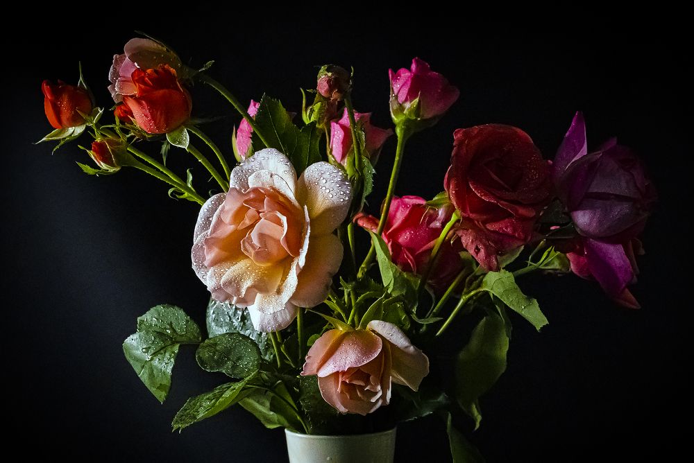 Photograph by Alex Kalpus