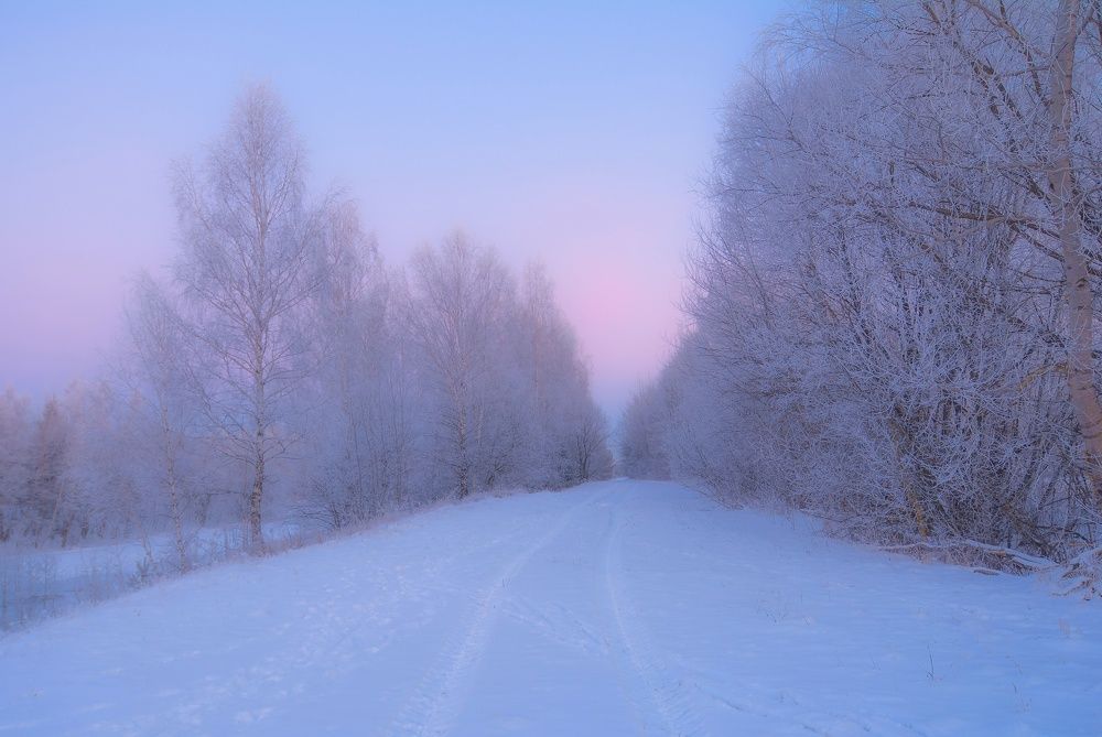 Фотография автора Андрей Врубель