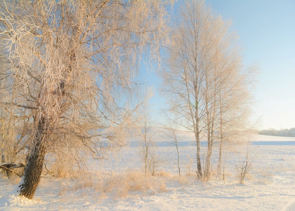 Фотография автора Андрей Врубель