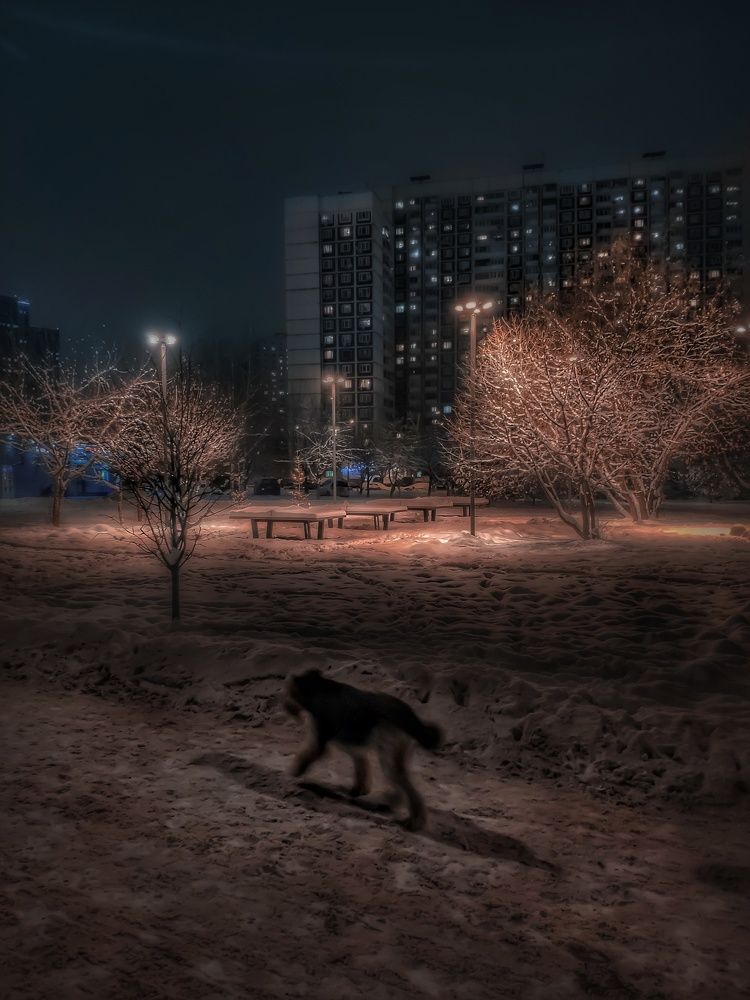 Photograph by Александр Новиков