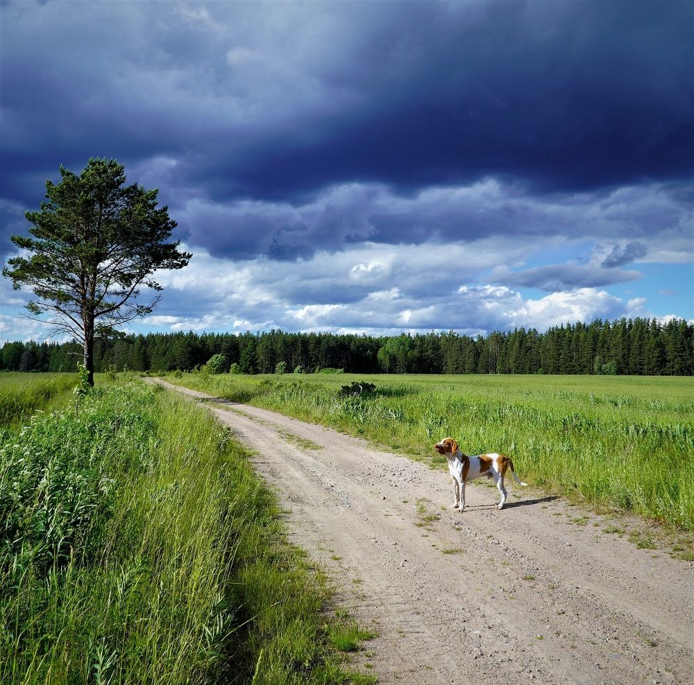 Photograph by Марина Безенкина