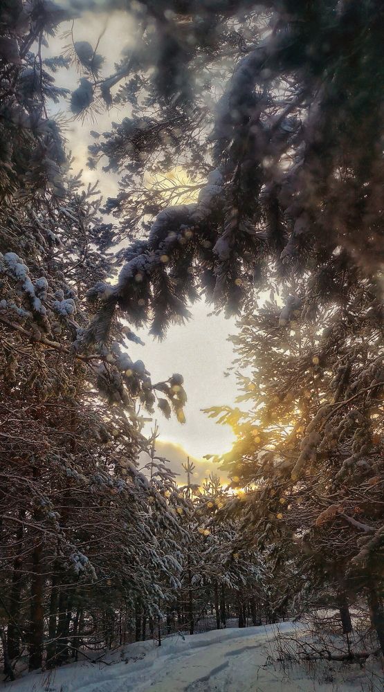 Новогодняя сказка