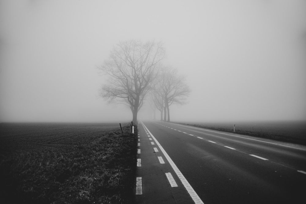 Photograph by Stievenart Benoît