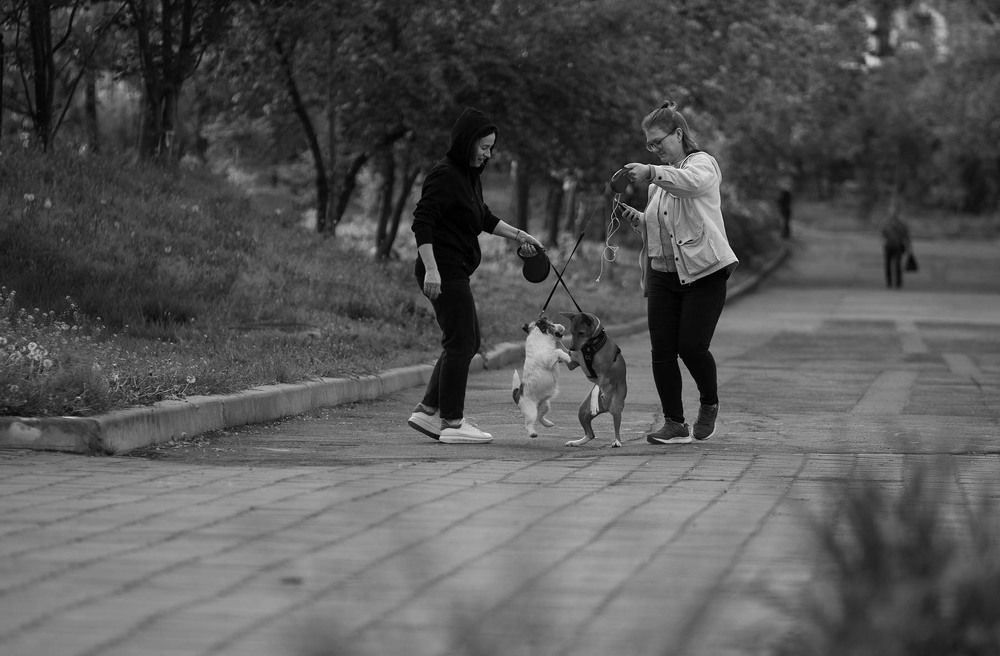 Hello, my new friend!