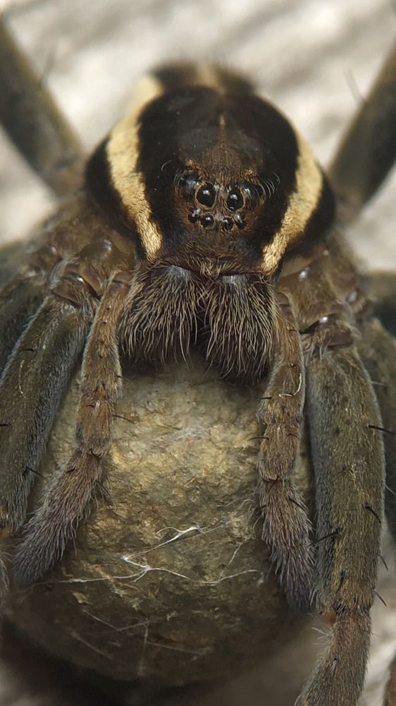 Photograph by Nadzeya Sukhenko