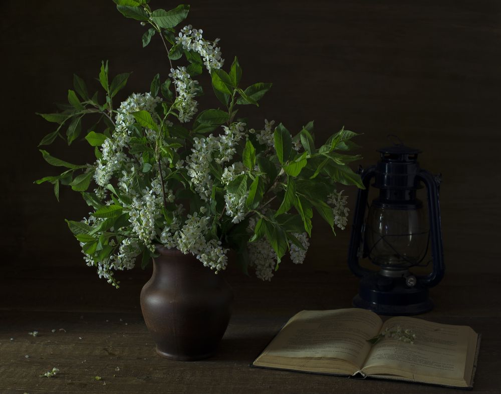 Photograph by Николай Лысцев