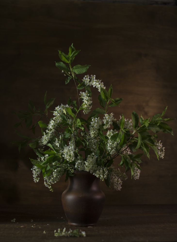 Photograph by Николай Лысцев