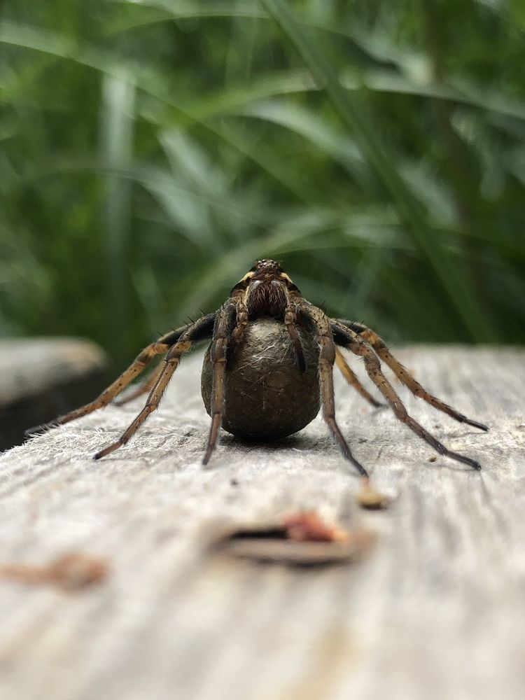 Photograph by Nadzeya Sukhenko