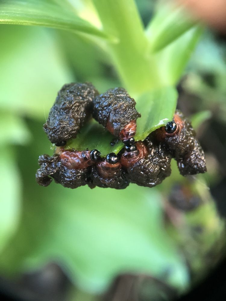 Photograph by Nadzeya Sukhenko