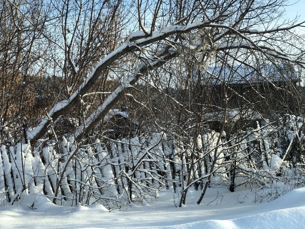 Photograph by Елена Змейкова