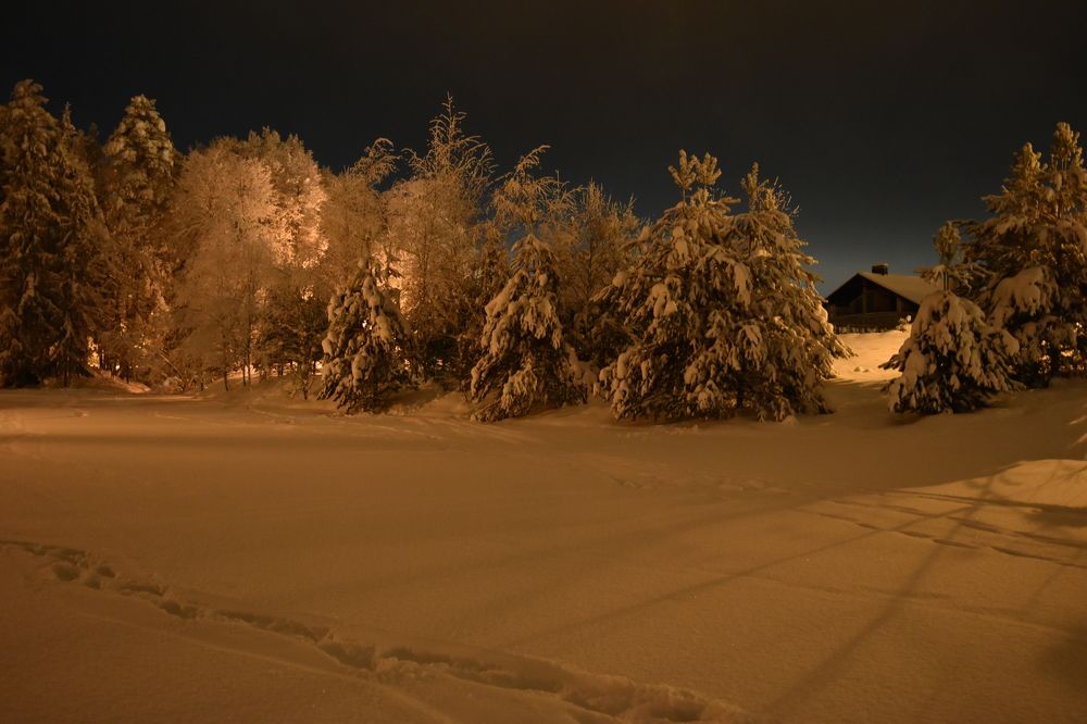 Photograph by Анна Стрельченко