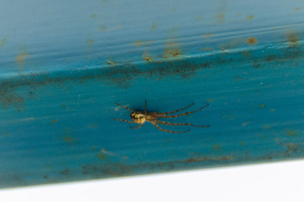 Photograph by Денис Кичев