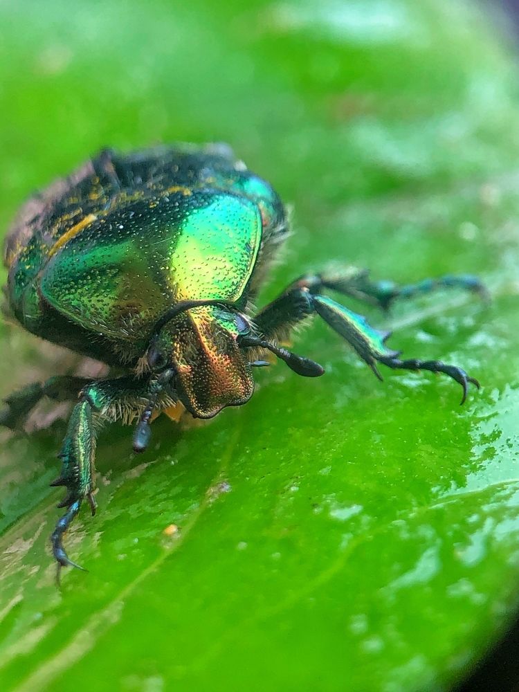 Photograph by Nadzeya Sukhenko