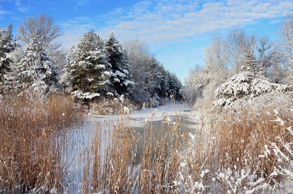 Photograph by Владимир Тертышник