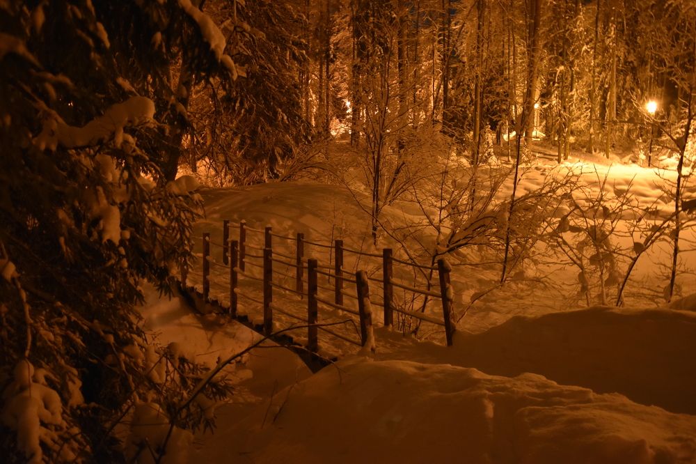 Photograph by Анна Стрельченко