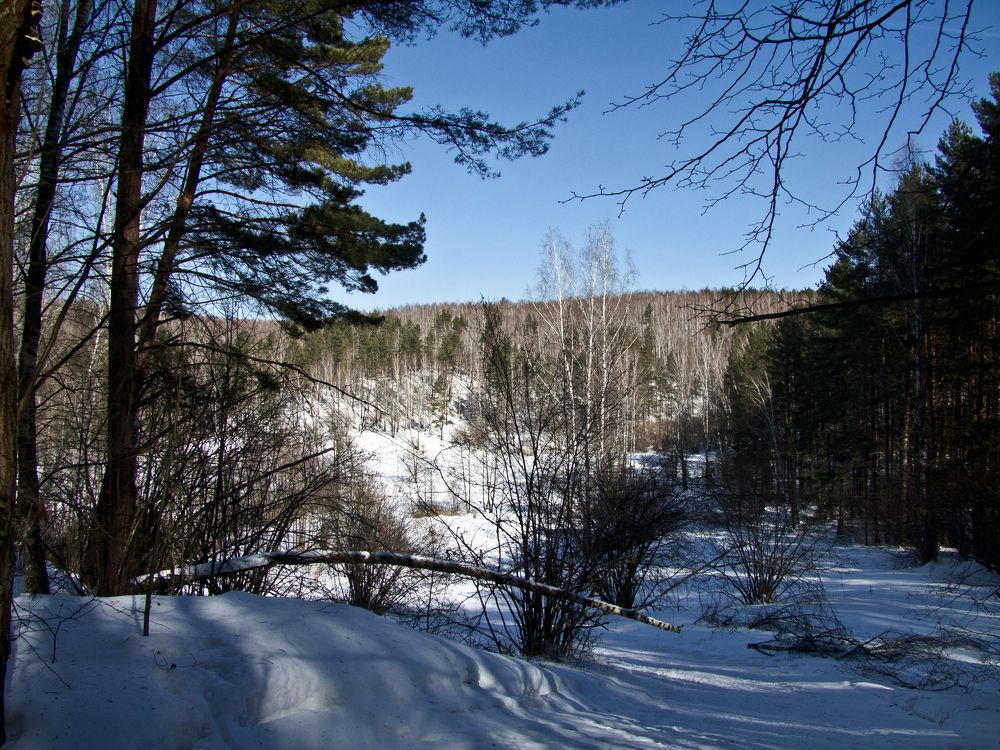 Photograph by Михаил Корнеев