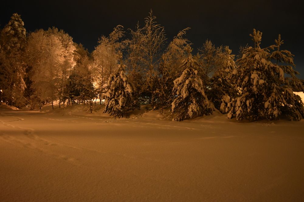 Photograph by Анна Стрельченко