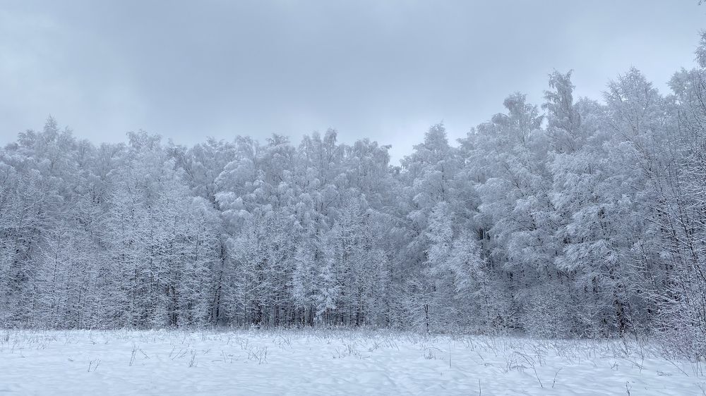 Photograph by Oksana Shchegolkova