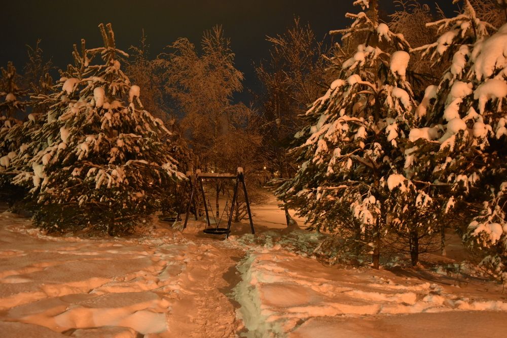 Photograph by Анна Стрельченко