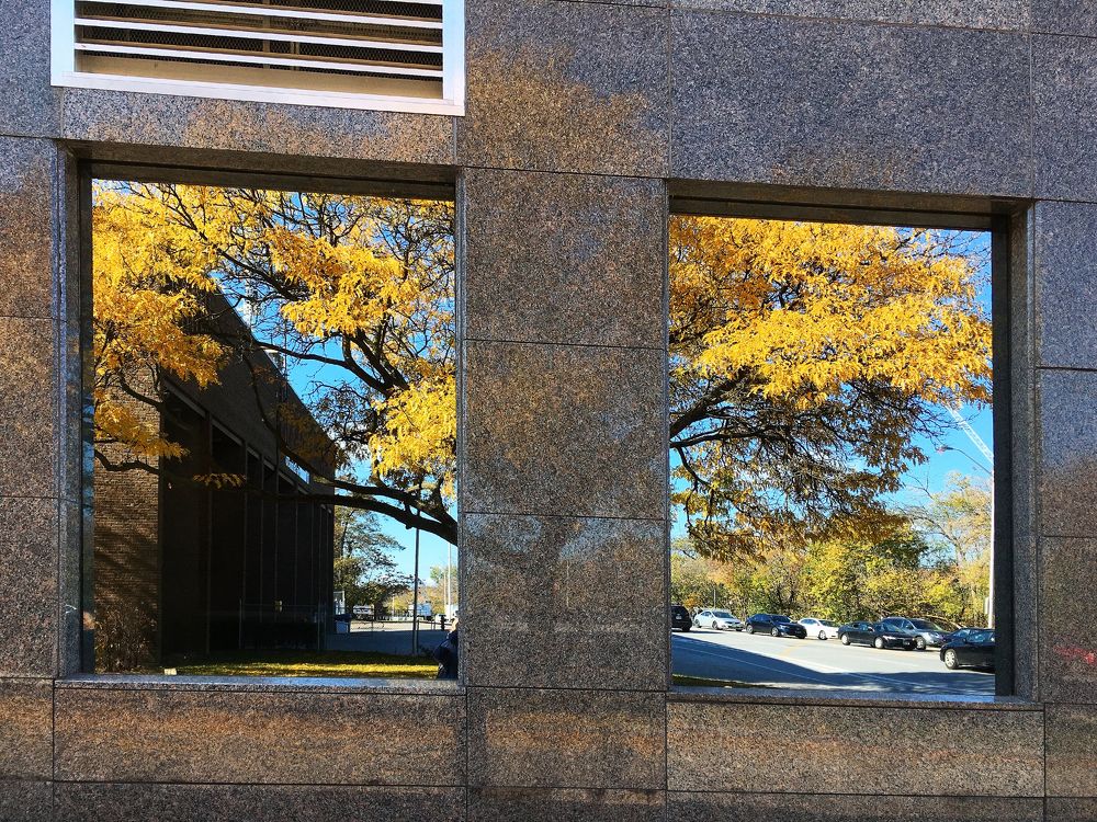 Photograph by Владимир Молостов