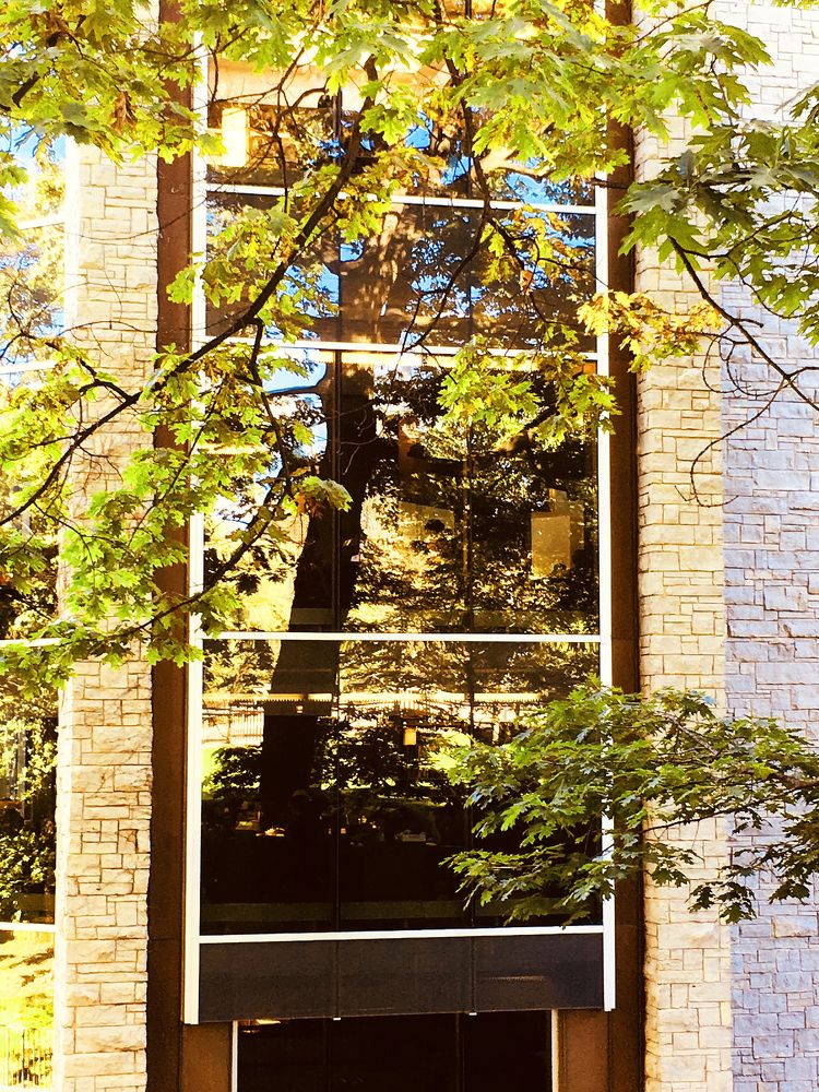 Photograph by Владимир Молостов