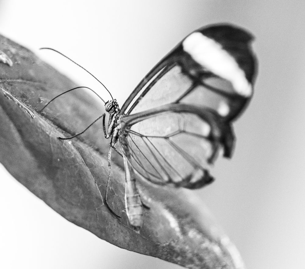 Photograph by Виктория Гунько