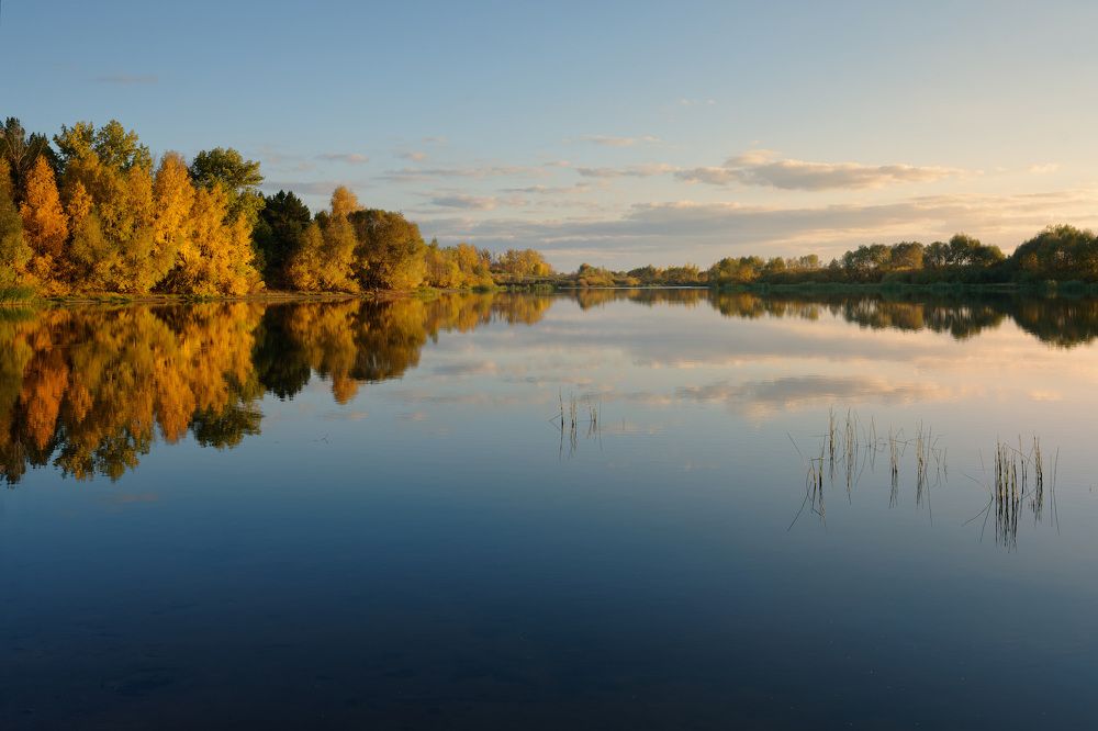 Photograph by Григорий Шалик