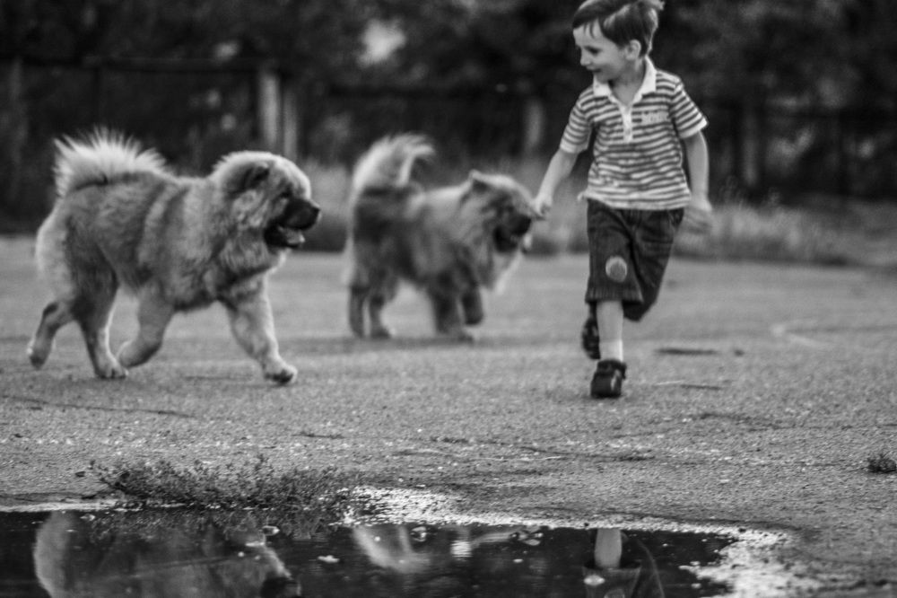 Photograph by Виктория Гунько