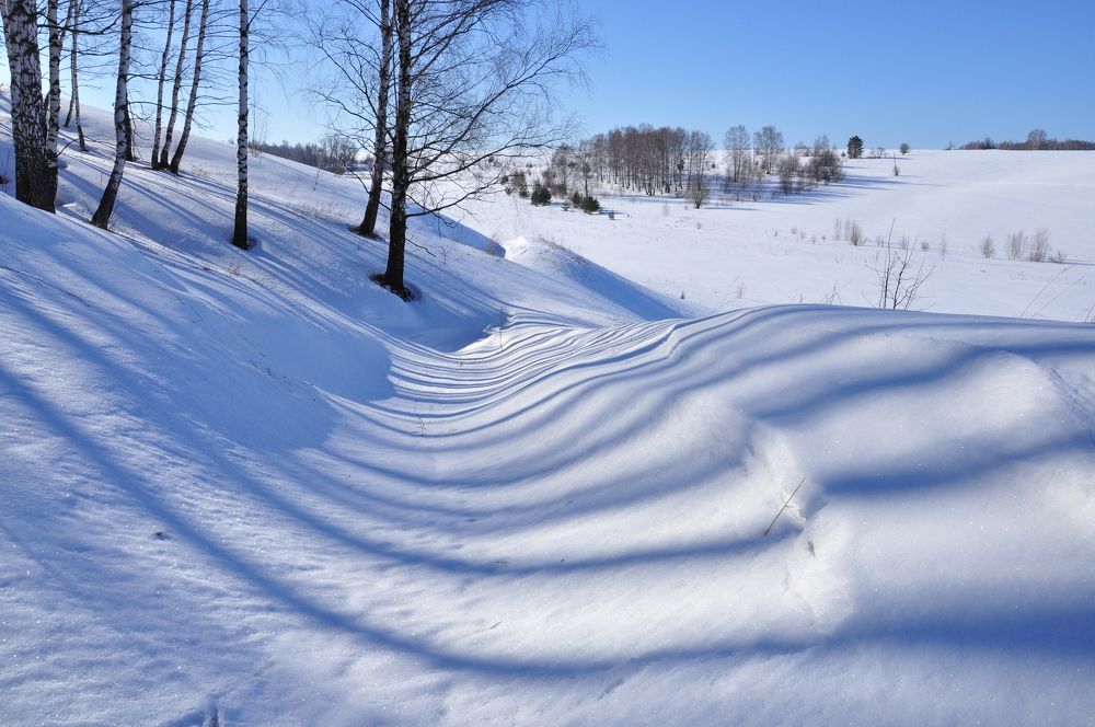 Photograph by Михаил Колосов