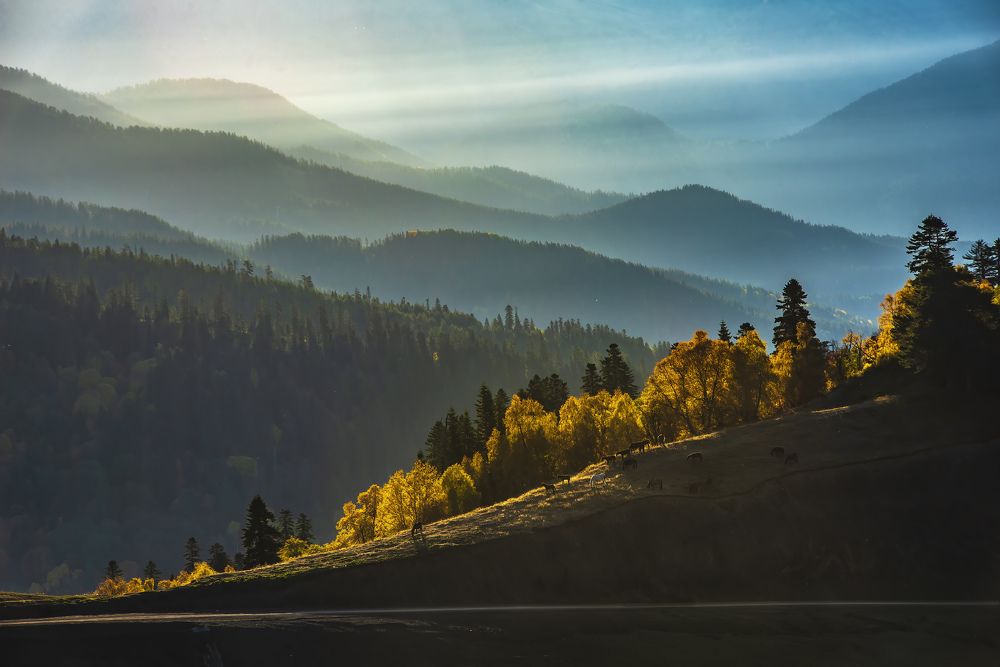 Photograph by Sergey Lexin