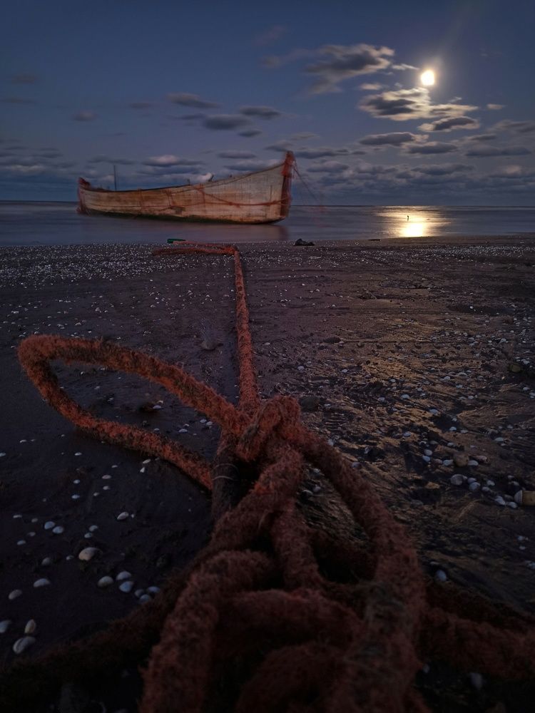 Photograph by Pourya farajpour