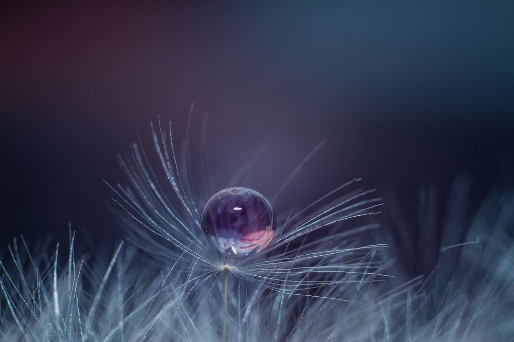 Photograph by Людмила Панова