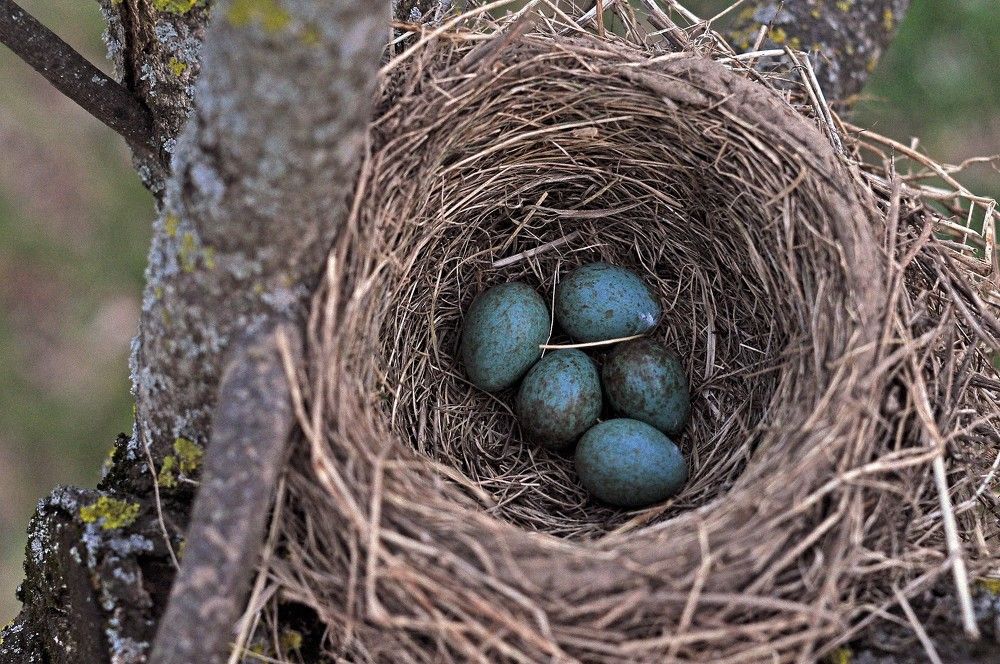 Photograph by Юрий Яковлев