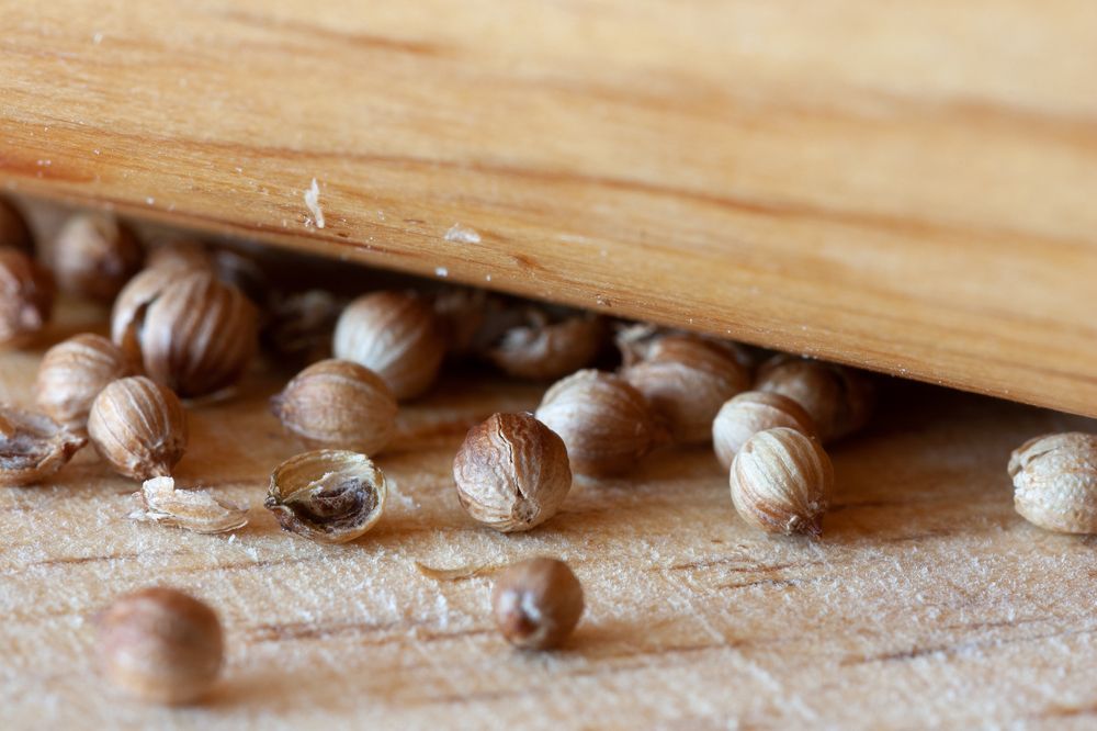 Photograph by Евгения Потемкина