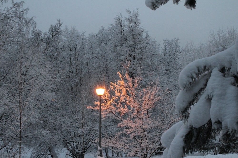 Photograph by Светлана Веселовская