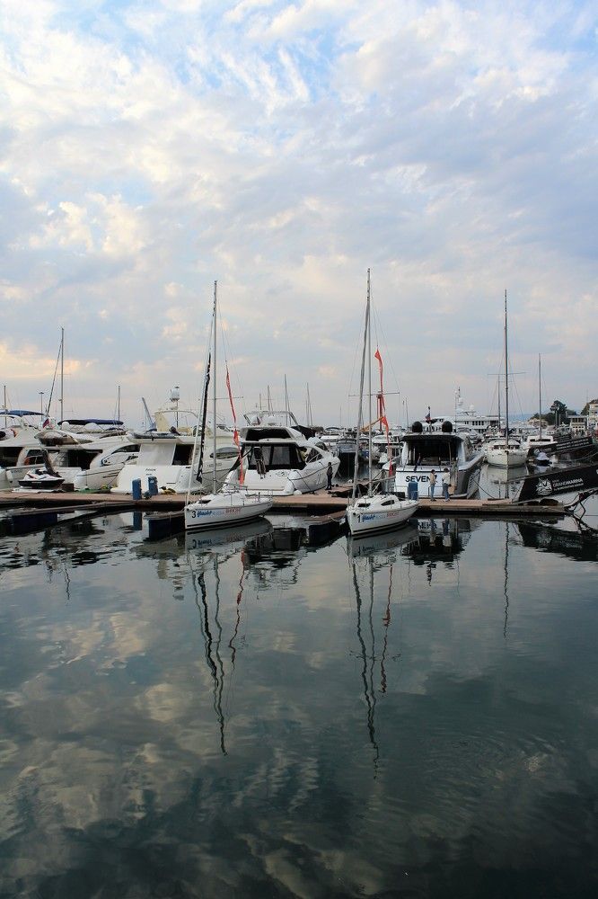 Photograph by Светлана Веселовская